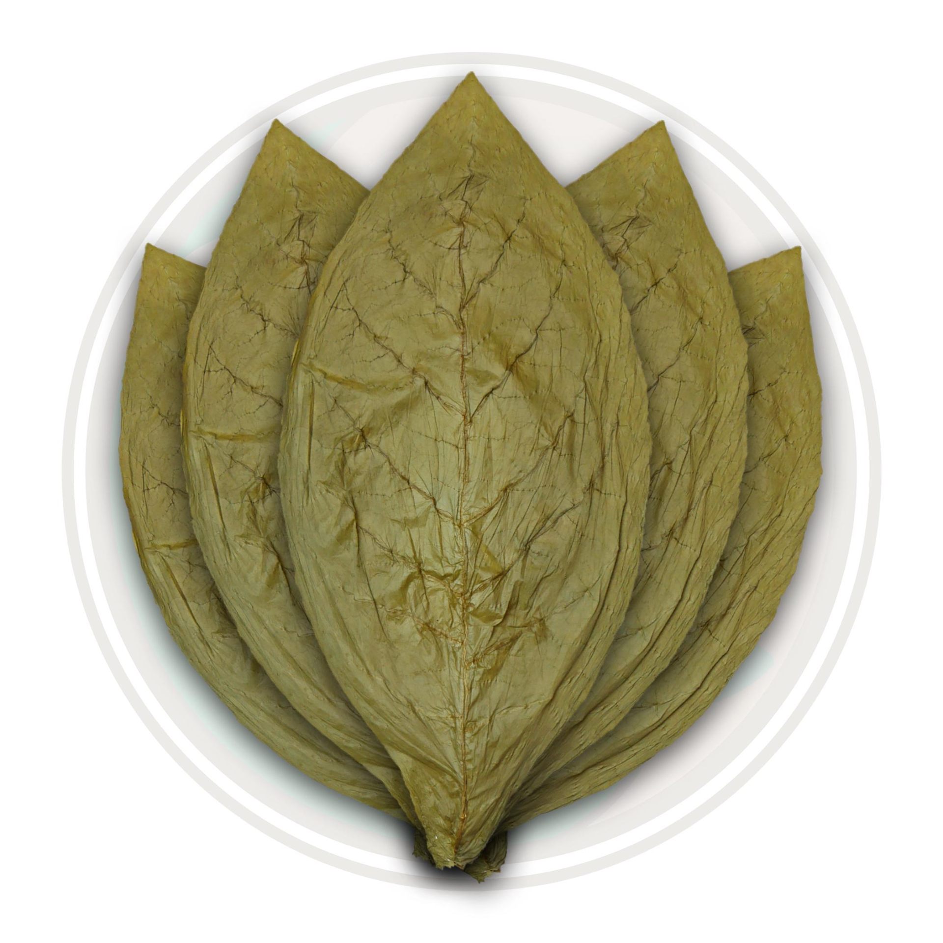 Candela wrapper leaf