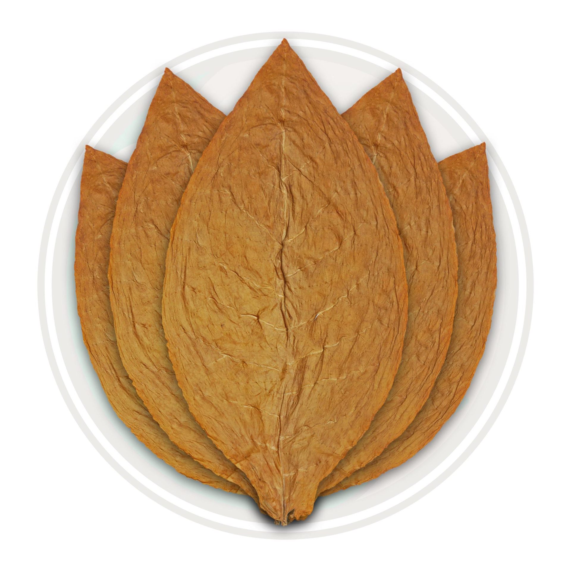 Connecticut wrapper leaf