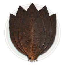 Maduro wrapper leaf